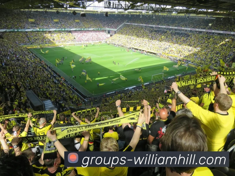 BETWAY必威官网平台生态图